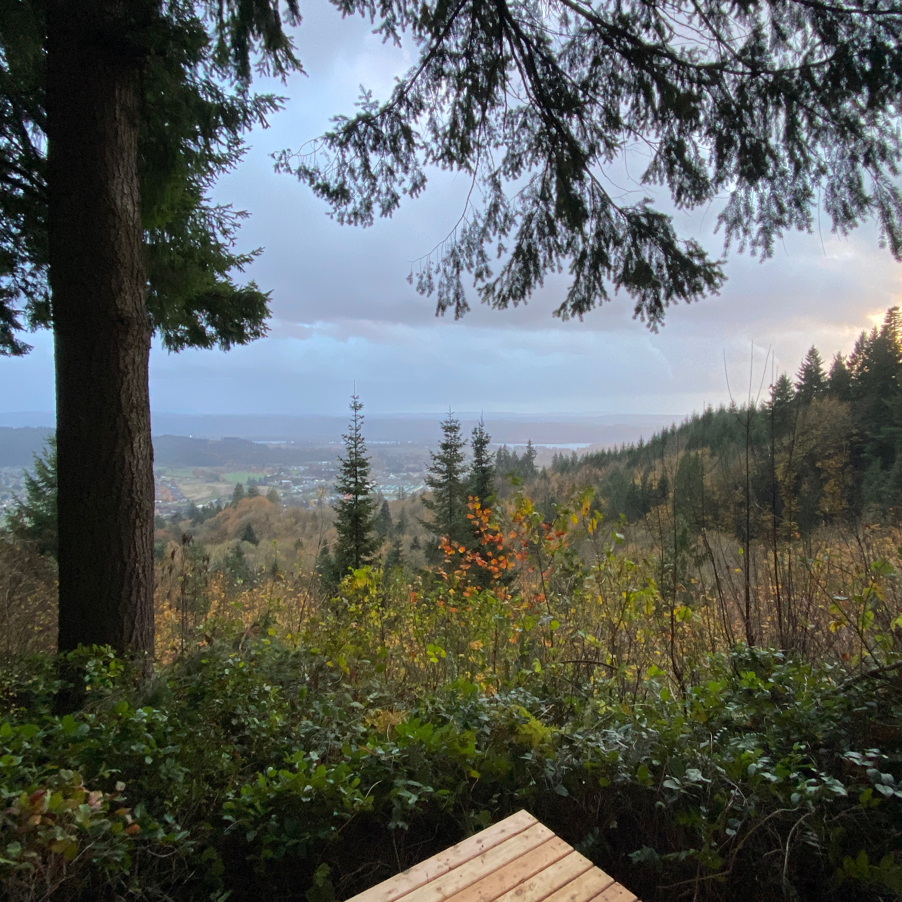 View from the Huckleberry Hut deck over the Columbia River valley