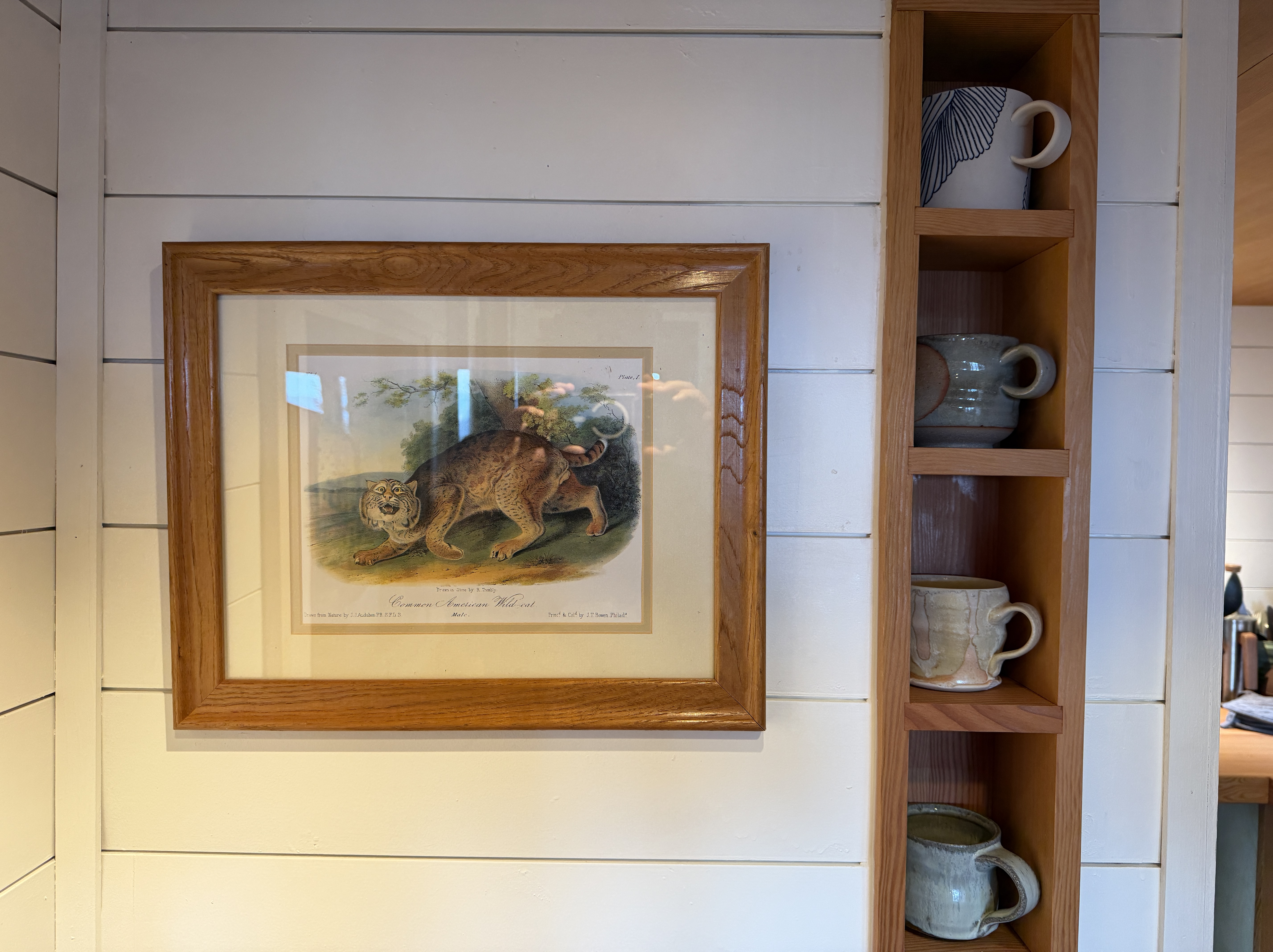 Handmade pottery mugs on a wooden shelf with framed natural history art